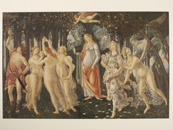 Copy after La Primavera, Sandro Botticelli  in the Uffizi (Florence)