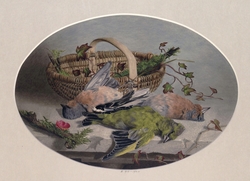 Still life of a basket with ivy and dead birds