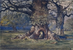 Old Oak at Windsor