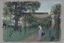 Grape-picking