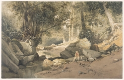 Rocky Woodland Stream with Fishermen