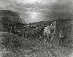 The Smugglers