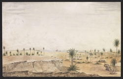 Red Sea. Date Palms and Arab Fort on the Island of Camaran