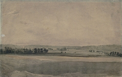 Study from nature near Handborough, Oxfordshire