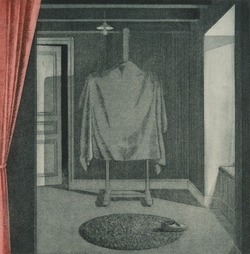 David's Jacket
