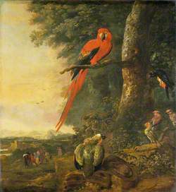 Red Macaw with Other Birds