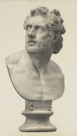 Drawing of a Bust of a Companion of Odysseus