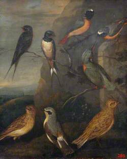 A Group of British Birds