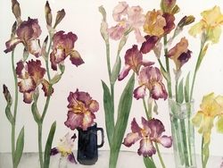 Irises, Brown and Yellow