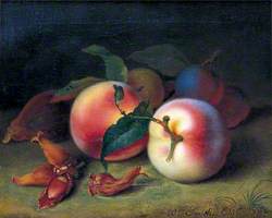 Still Life of Peaches, Plums and Cobnuts