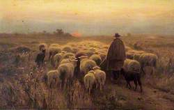 Shepherd and Flock at Sunset