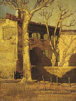 Plane Trees, Avignon, France