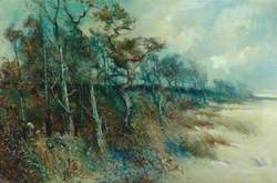Trees in a Sandy Landscape, Heysham
