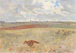 A Fox on the Run – Gidding Windmill in the Distance