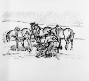 Ploughing on the Downs