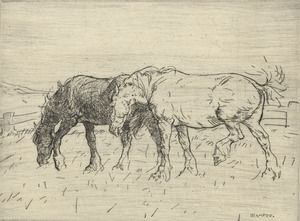 Grazing Horses
