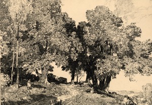 A Sunny Hillside