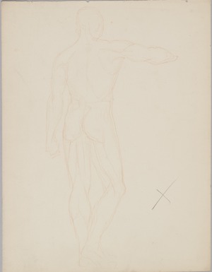 Male Nude - Rear View