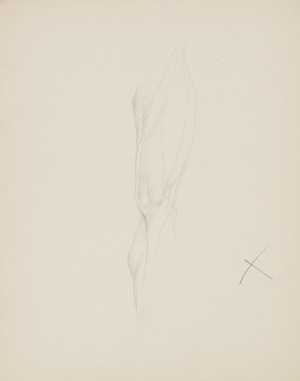 Study of a Male Leg