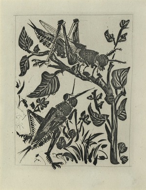La Sauterelle (Grasshopper)