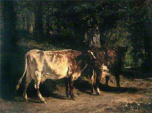 Vaches au pâturage (Grazing Cows)