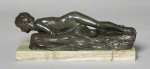 Narcissus