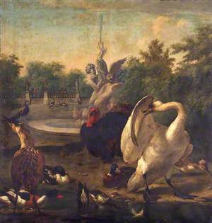 A Park with a Swan and Other Birds