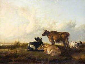 Cattle in Landscape