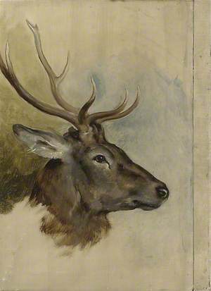Two Studies of a Stag's Head (verso)