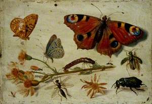 Three Butterflies, a Beetle and other Insects, with a Cutting of Ragwort