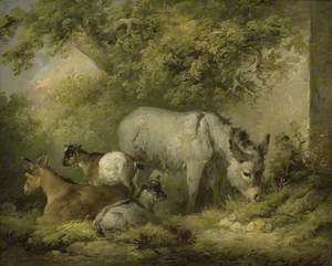 Farmyard Scene: A Donkey and Goats