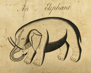 The Elephant