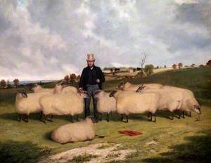 John Treadwell and His Flock of Oxford Down Sheep