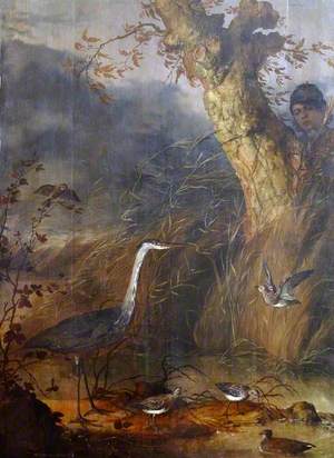 Man Watching Waterfowl from behind a Tree