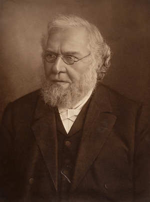 Reverend James H. Rigg (1821–1909)