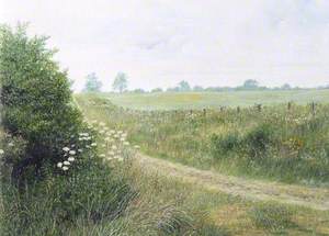 Country Path, Silchester, Hampshire