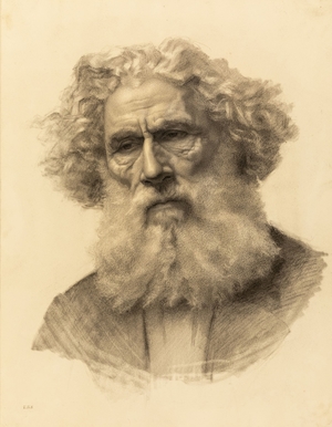 Portrait Head of a Bearded Man