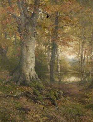 A Woodland Scene