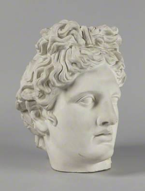 Head of the Apollo Belvedere