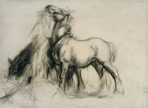 Two Horses – Horses Eating Hay