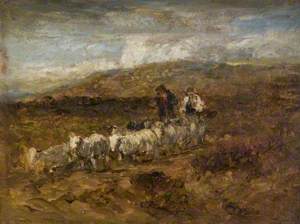 Welsh Shepherds