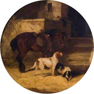 Pony and Hounds