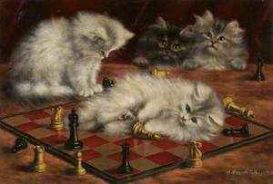 Cats and Chess Board