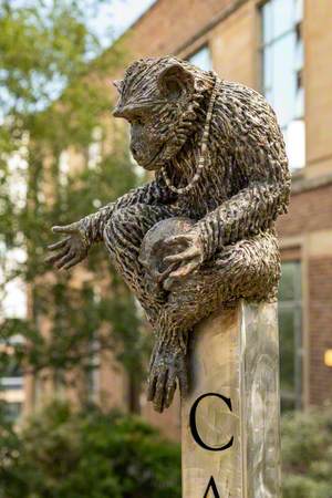 Peter (Monkey with Skull)