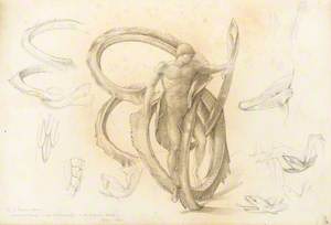 Nude Study of Perseus and the Sea Monster