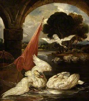 The Descent of the Swan