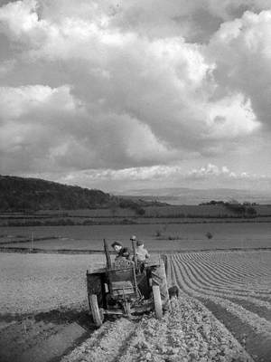 Ploughing Ridges with a Tractor