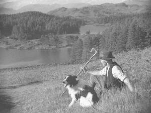 Shepherd and Dog above Tarn Hows