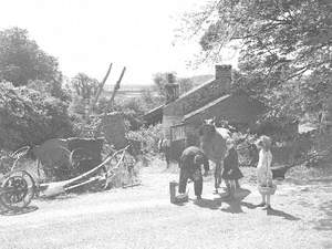 Farrier at Zealand