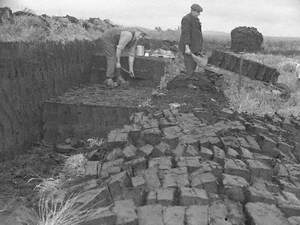 Cutting and Barrowing Peats